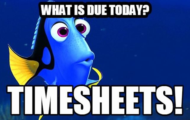 What is due today? Timesheets